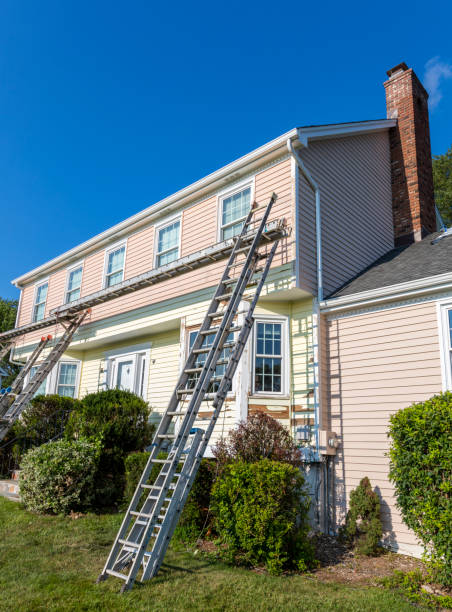 Best Hoarding Cleanup  in Fowlerville, MI