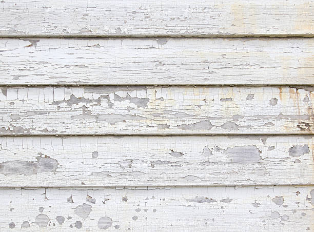 Best Shed Removal  in Fowlerville, MI