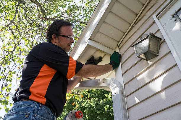Best Attic Cleanout  in Fowlerville, MI